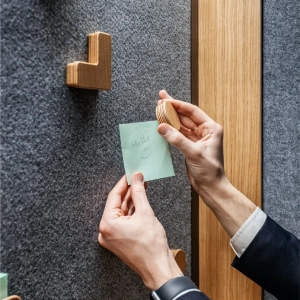 Magnetic Wall