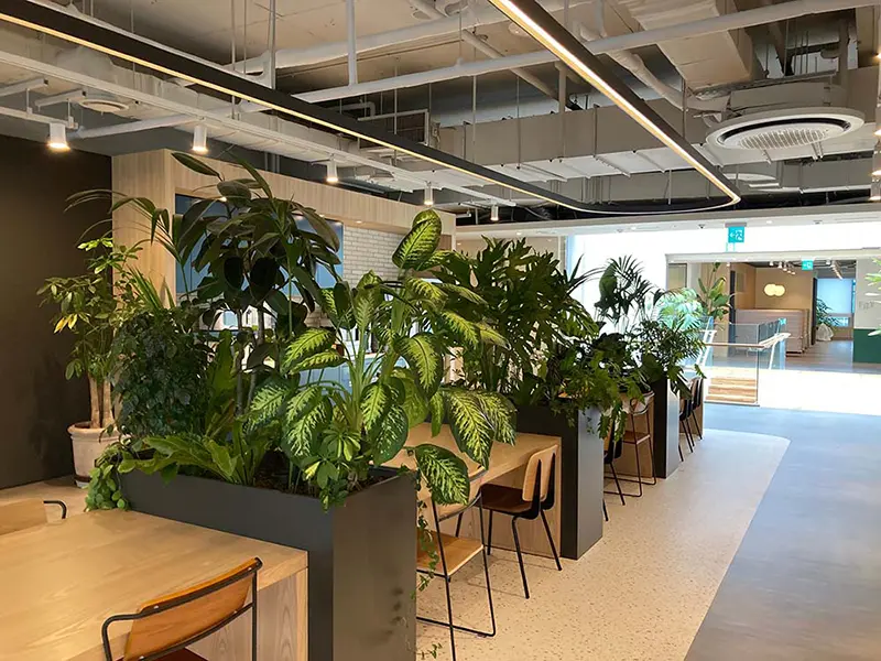 A working office space furnished with wooden furniture and green plants.